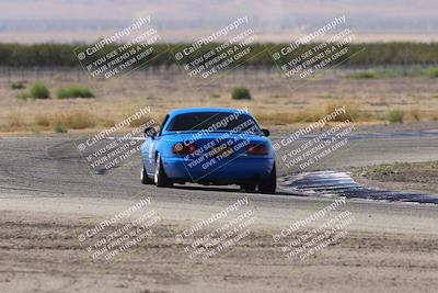 media/Oct-04-2025-OnGrid (Sat) [[44bd565ffa]]/Purple Group/Grapevine/